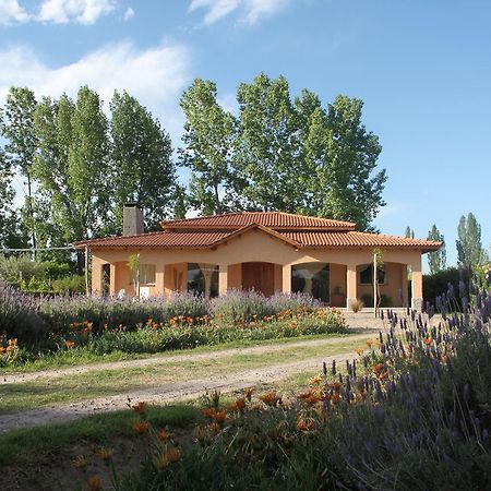 Vila Casona Aventurados Lujan de Cuyo Exteriér fotografie