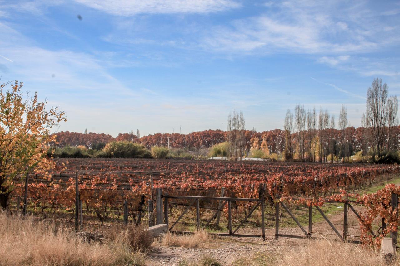 Vila Casona Aventurados Lujan de Cuyo Exteriér fotografie