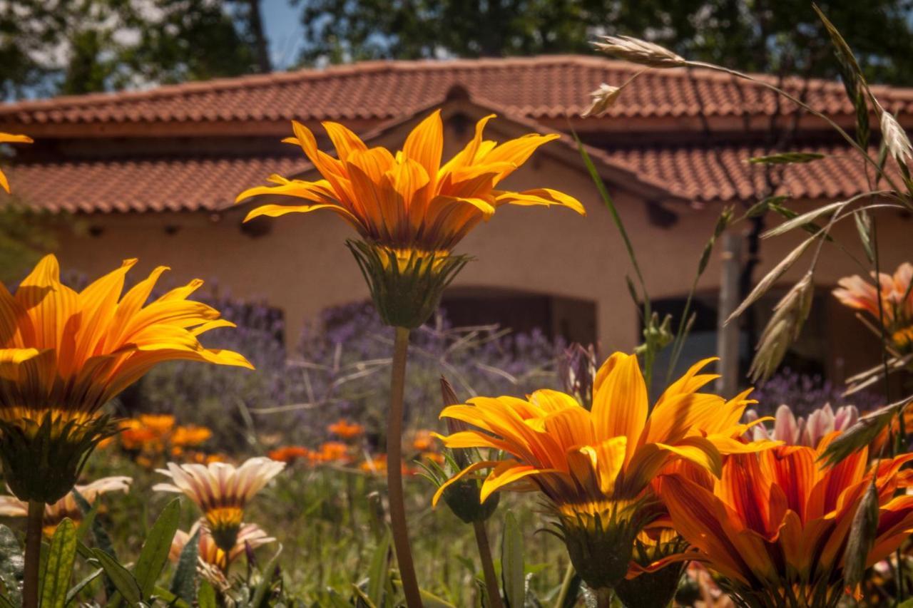 Vila Casona Aventurados Lujan de Cuyo Exteriér fotografie