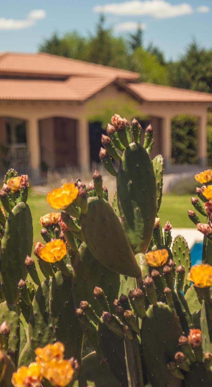 Vila Casona Aventurados Lujan de Cuyo Exteriér fotografie